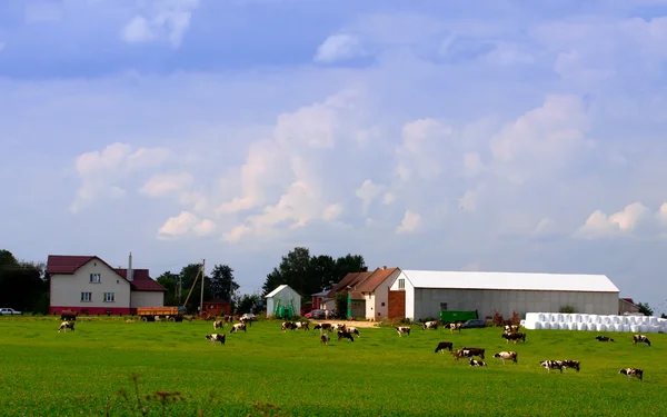 Λιθουανικά-αγρότη αγροτικό σπίτι — Φωτογραφία Αρχείου