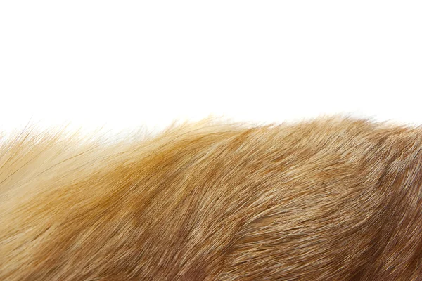 stock image Red fox fur background texture