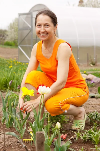 Mujer jardinero —  Fotos de Stock