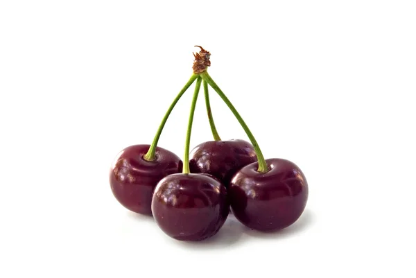 Stock image Cherry