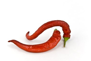 Cayenne