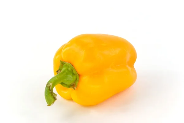 stock image Pepper