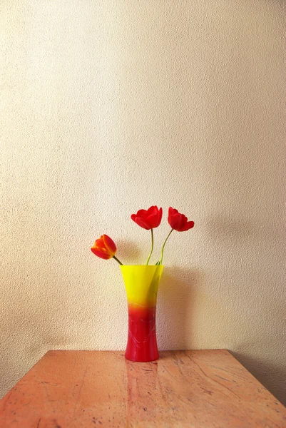 Tři Tulipán — Stock fotografie