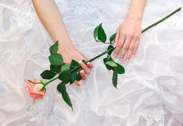 Rosa en manos de novia — Foto de Stock