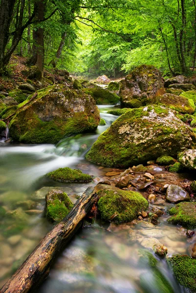 Řeka hluboko v hoře — Stock fotografie
