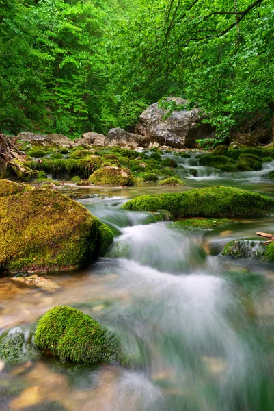 Řeka v horských — Stock fotografie