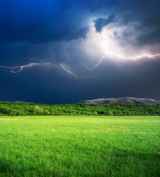 Thunderstorm in green meadow