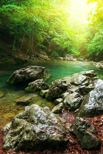Река глубоко в горном лесу — стоковое фото
