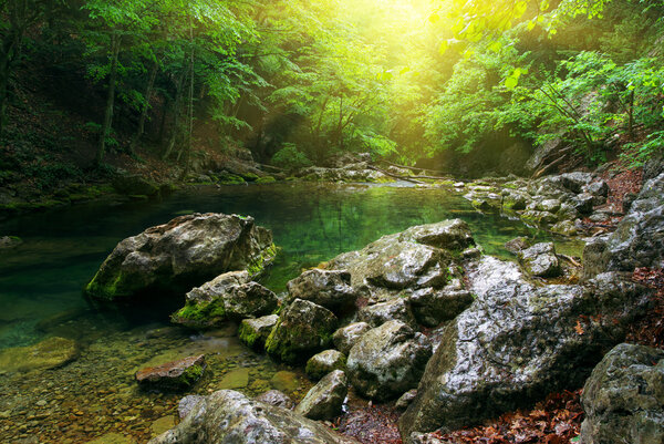 River deep in mountain forest. Nature composition.