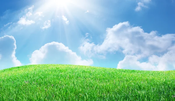 Gras und tiefblauer Himmel — Stockfoto