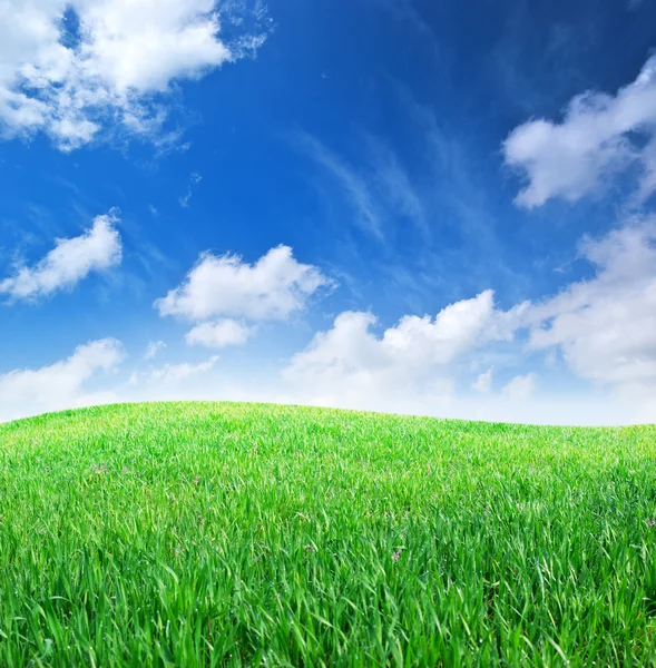 Grass and deep blue sky Royalty Free Stock Images