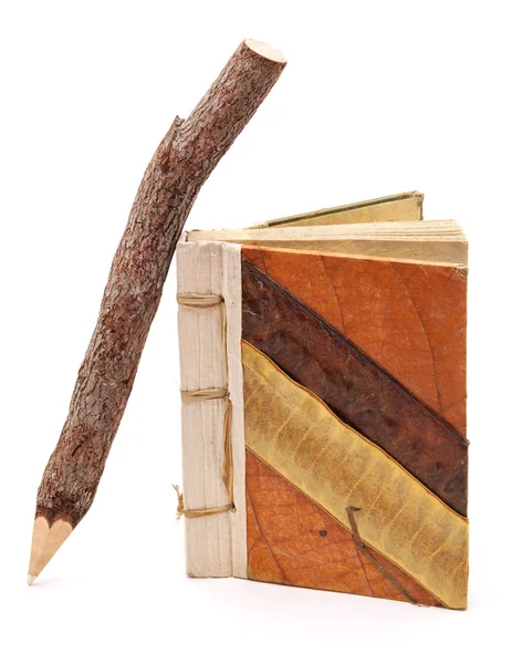 Doğal kalem ve not defteri — Stok fotoğraf