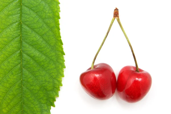 Isolated sweet cherries — Stock Photo, Image