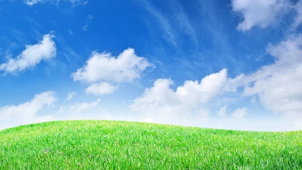 잔디와 깊고 푸른 하늘 — 스톡 사진