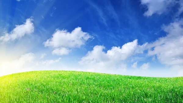 Gräs och djupblå himmel — Stockfoto