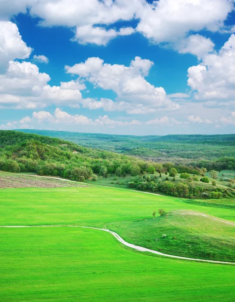 Dağdaki yeşil çayır — Stok fotoğraf