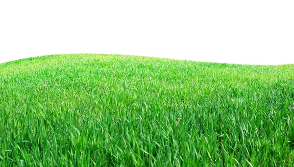Изолированный зелёный холм — стоковое фото