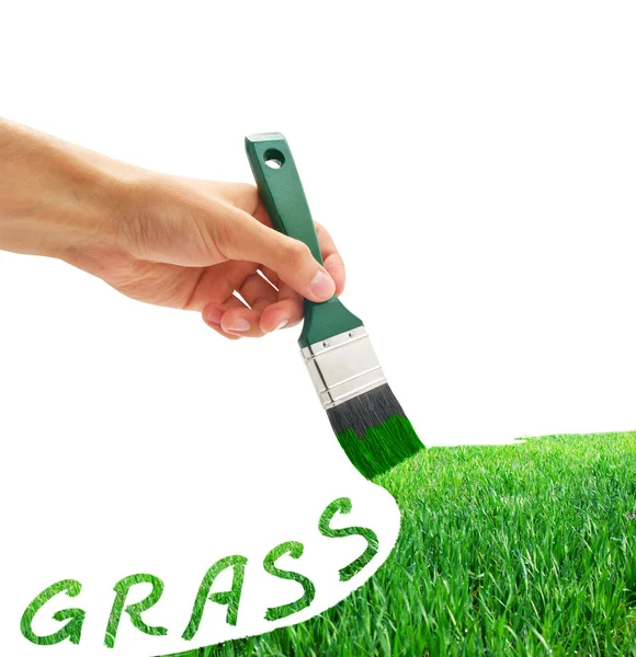Kresba v trávěritning gräset — Stock fotografie