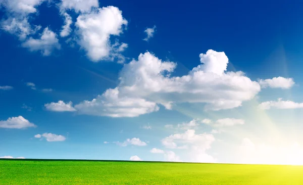 Лужайка и облачное небо — стоковое фото