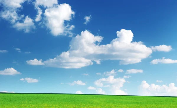 Lawn and cloudy sky — Stock Photo, Image