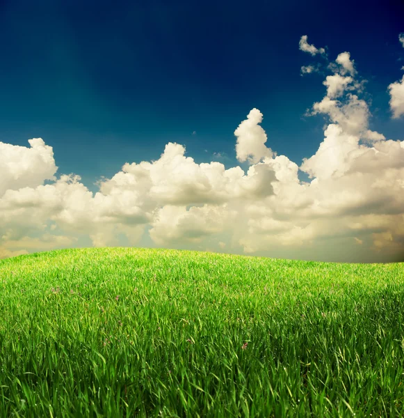 Grass and deep blue sky — Stock Photo, Image