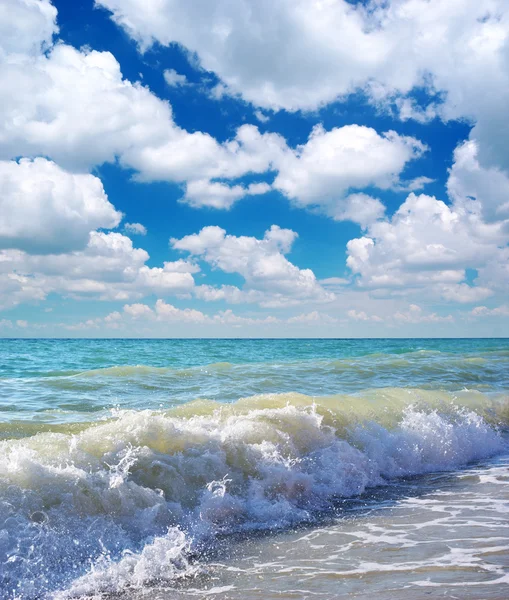 Mooie kust van strand van dag. natuur samenstelling. — Stockfoto