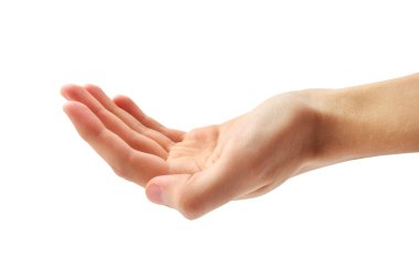 insan eli