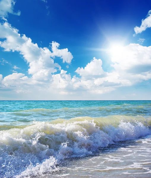 Hermosa costa de playa por el día. Composición natural . — Foto de Stock