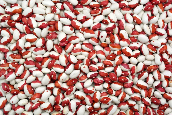 Texture of haricot bean — Stock Photo, Image