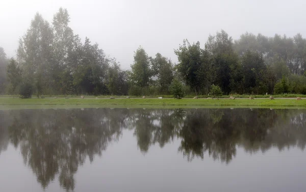 Panorama. Morning fog over a pond — Stock Photo, Image
