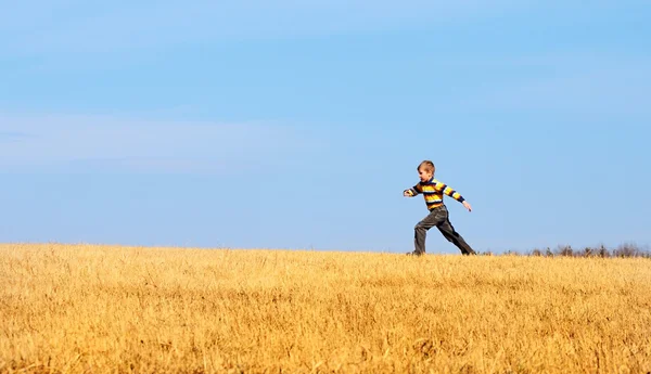 Liten pojke hoppar av glädje på en äng — Stockfoto