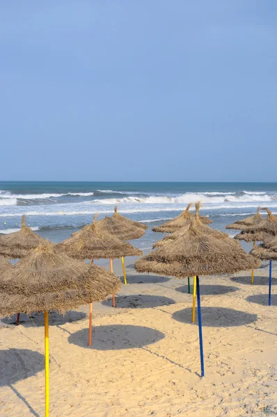 Parasole na plaży w godzinach porannych — Zdjęcie stockowe