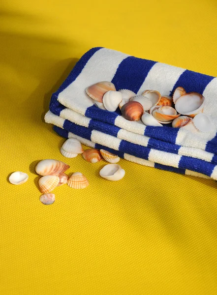 Mušle na barvu ručníku — Stock fotografie