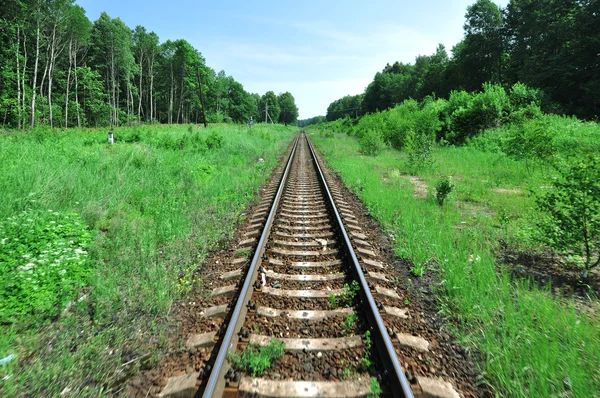 Вид на железнодорожные пути — стоковое фото