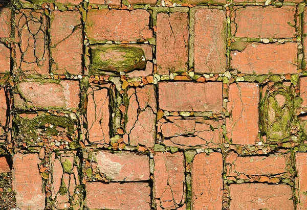Mosaic concrete pavement of the road — Stock Photo, Image
