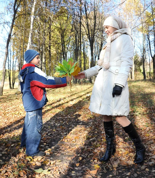 Hijo presenta ramo de otoño amarillo a ma — Foto de Stock