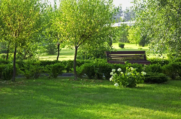 Romantic bench in peaceful park — Stock Photo, Image