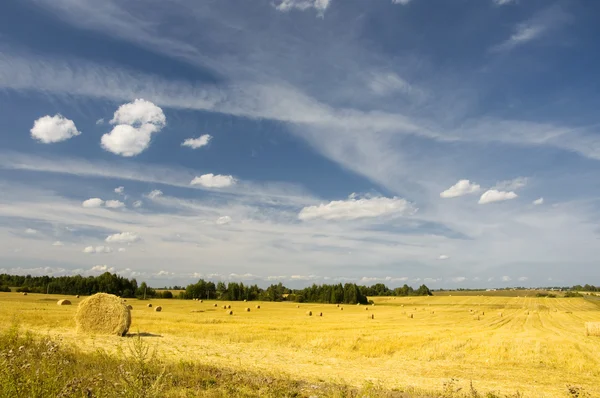 Amazing golden hay bales on sunny day — Stock Photo, Image