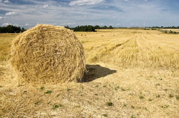 Haystack en el prado en el día soleado —  Fotos de Stock