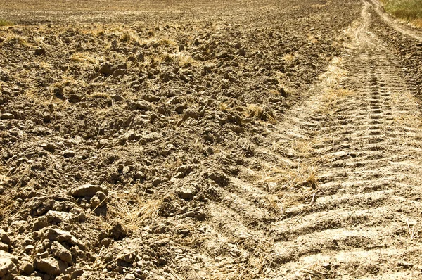 Pista de tractores fresca en la tierra — Foto de Stock
