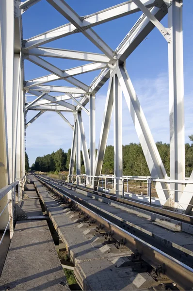 Il ponte ferroviario — Foto Stock