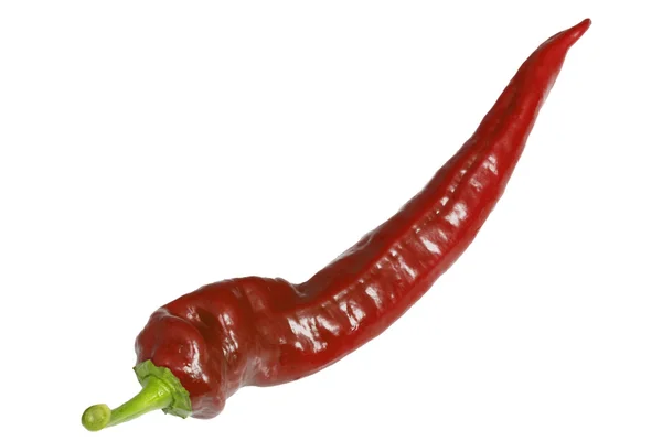Pimenta de pimenta amarga vermelha — Fotografia de Stock