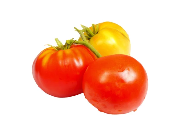 Pomodori freschi rossi e marroni — Foto Stock
