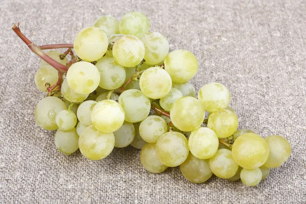 Beyaz üzüm çeşitleri muscat — Stok fotoğraf