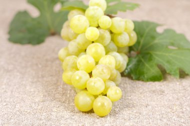 White grape varieties Muscat clipart