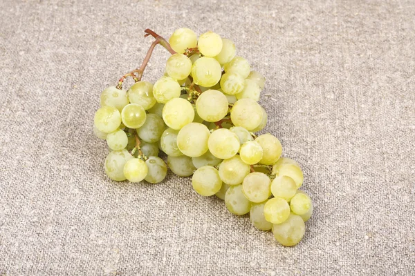 Beyaz üzüm çeşitleri muscat — Stok fotoğraf