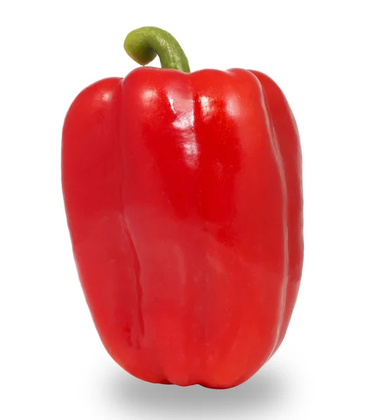 Pepper Vegetable Sweet closeup — Stock Photo, Image