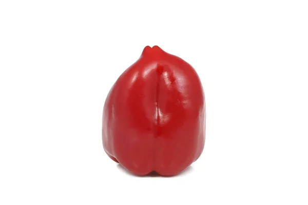 Paprika Gemüse süß Nahaufnahme — Stockfoto