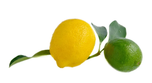 Лимон и лайм — стоковое фото