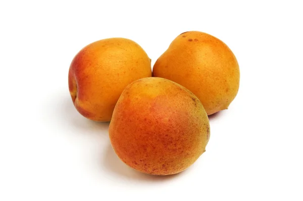 Three apricots on white background — Stock Photo, Image